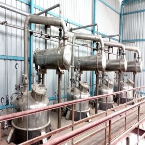 Jatamansi Herbal Extraction Plant