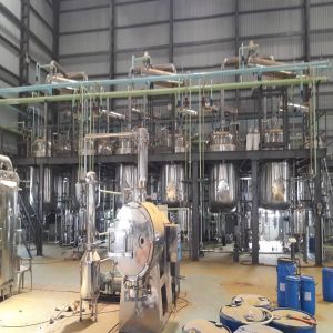 Piperine Black Pepper Extract Plant