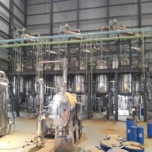 Seed and Berry Antioxidants Extraction Plant