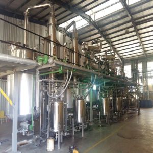 Ylang Ylang Essential Oil Extraction Plant