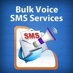 Bulk Voice SMS Service