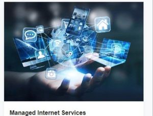 Managed Internet Service