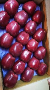 Kashmir Red Delicious Apple