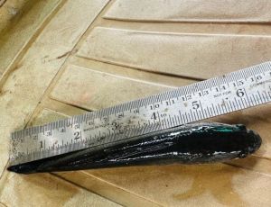 6 Inch Murel Fish Seeds