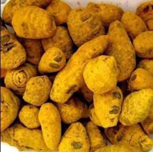 Turmeric Bulb