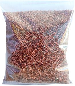 Ragi Millet