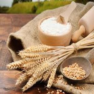 Whole Wheat Flour