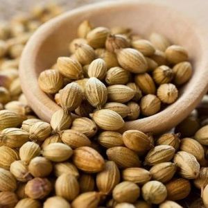 Coriander Seeds