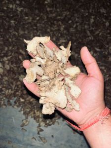 Dry Ginger