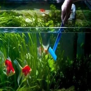 Aquarium Maintenance Service