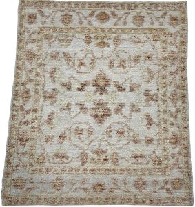 Transitional Beige & Brown Vintage Floral Plush Area Rug
