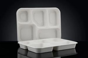 5 CP Disposable Bagasse Meal Tray