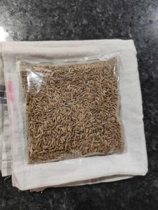European Quality 99%Cumin Seeds