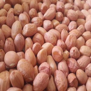 Tj Raw Peanut