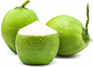 Green Tender Coconut