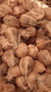 Semi Husked Coconut