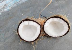 Semi Husked Coconut