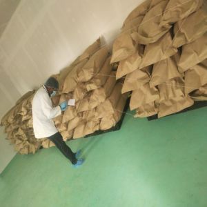 Natural Moringa Powder
