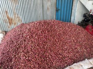 Sambar Onion