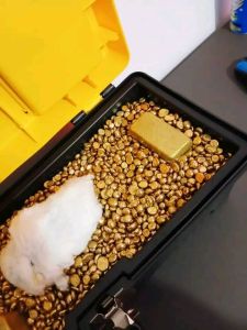 Pure Gold Bars