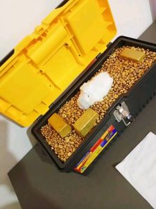 Pure Gold Bars