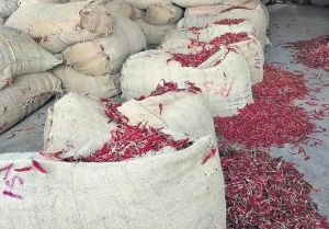 A Grade Dry Red Chili