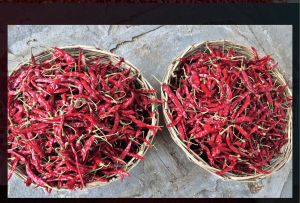 A Grade Dry Red Chili