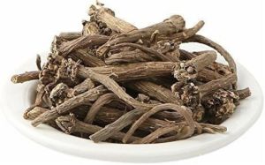 Akarkara Roots
