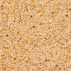 Poppy Seeds