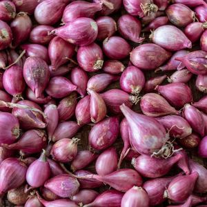Fresh Shallots