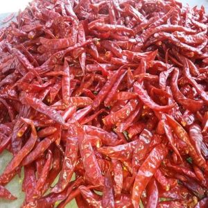 Sannam 334 Dried Red Chilli
