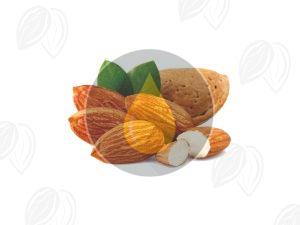 400gm Premium Almond Nuts