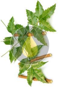 Neem Oil