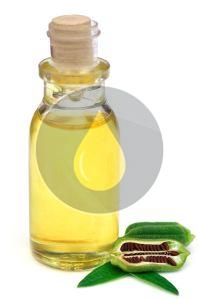 Turpentine Oil