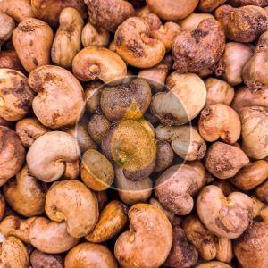 Raw Cashew Nut