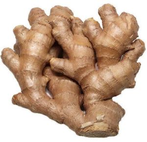 Fresh Ginger
