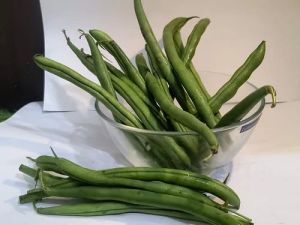Fresh Green Beans