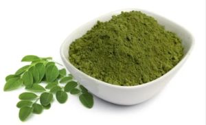 moringa leaf powder