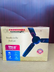 Electric Ceiling Fan
