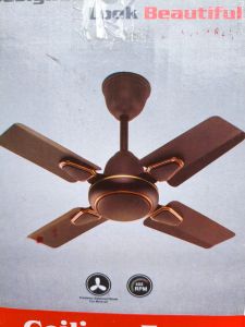 Electric Ceiling Fan