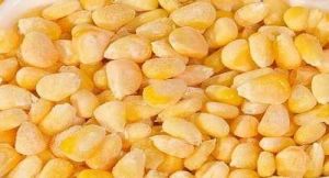 A Grade Frozen Sweet Corn Kernels