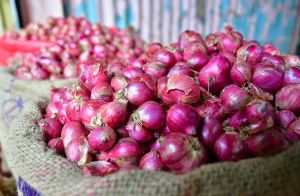 Small Onion