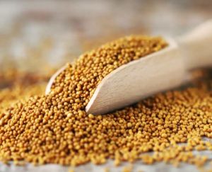 Yellow Mustard