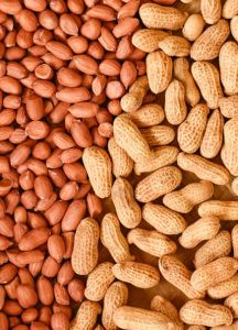 Groundnut Peanuts