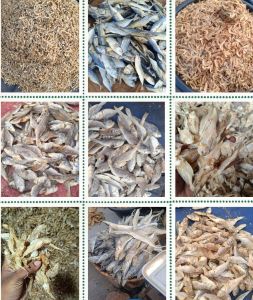 Dry Fish