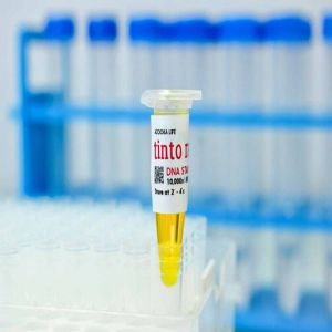 DNA Quantification Tinto Rang Biological Stain