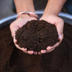 Natural Vermicompost Fertilizer