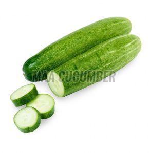 Fresh Green Desi Cucumber