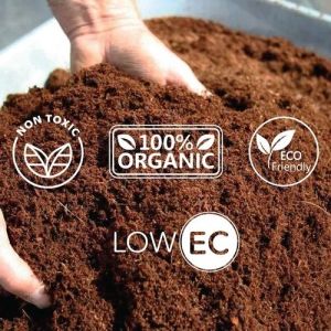Low EC Coco Peat Powder