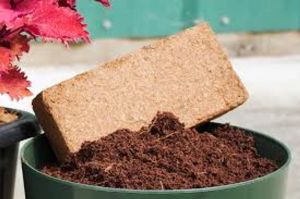 Low EC Coco Peat Powder